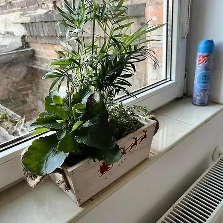 Apartment 18 Lutherstadt Eisleben