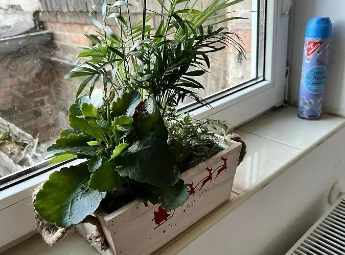 Lägenhet 18 Lutherstadt Eisleben